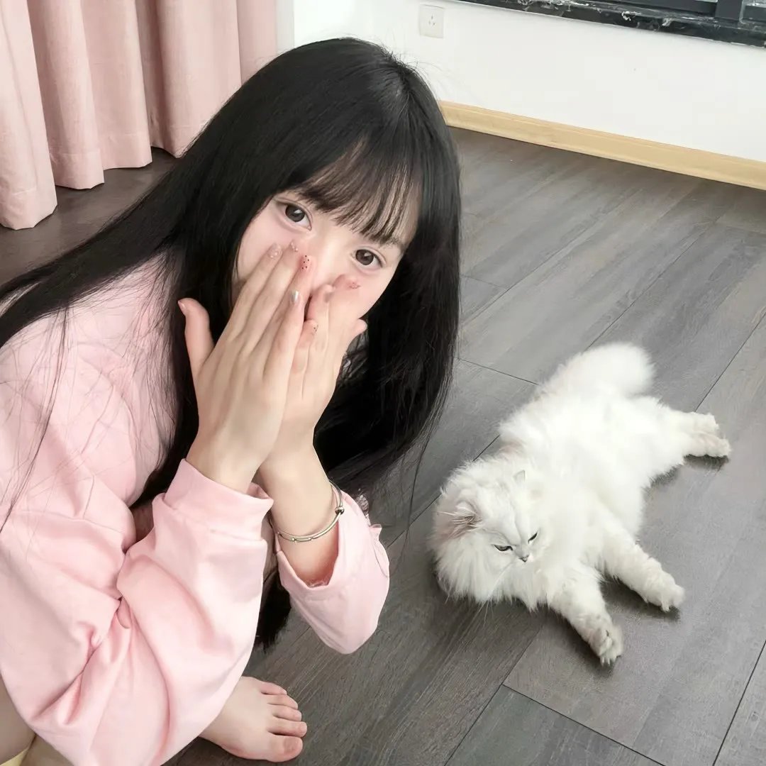 白色驯鹿